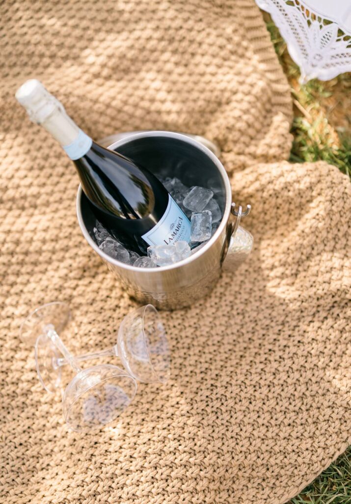 Splendor Pond Engagement Photos with a picnic under a willow tree